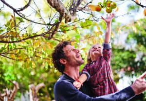 A little girl picks apples with her father