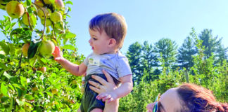 Elizabeth Kern and her son, Sam, pick apples