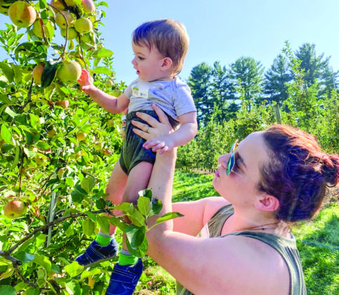 Elizabeth Kern and her son, Sam, pick apples