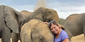 Judge Yvette N. Diamond receives a “trunk hug” from a foster elephant at Tsavo National Park, Kenya, 2021