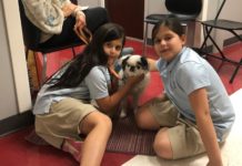 Children participate in the Macks Center for Jewish Education’s Mitzvah Mutts and Summer Reading Kickoff event.