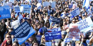 Crowd at the March for Israel