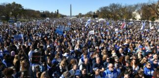 Crowd at the March for Israel at the National Mall