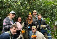 Young adults on Birthright hold oranges in Israel
