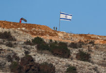 Photo of land dotted with green bushes and an Israeli flag on a flagpole. The background is a clear blue sky.
