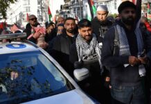 Opinion: Despite Its Military Successes, Israel Remains a Little David Facing a Global Goliath