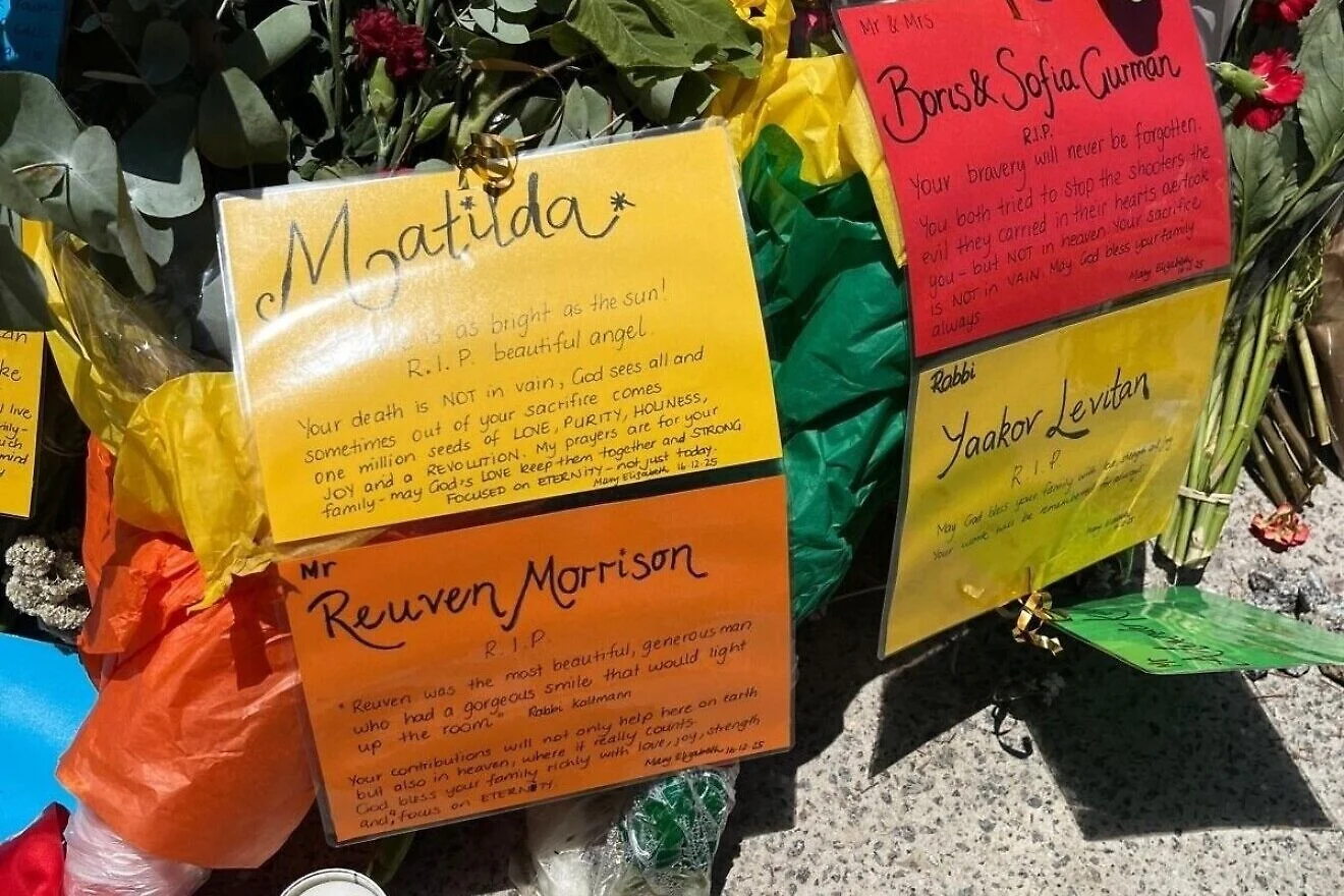 Opinion: You Are Not Alone, in Australia or America