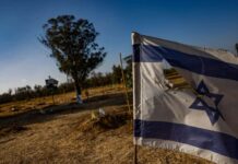 A blue and white Israeli flag and a tree.