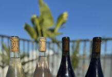 Stepping Out From Behind the Scenes: The Solo Expression of Sagie Kleinlerer The new wines from Kleinlerer Wines